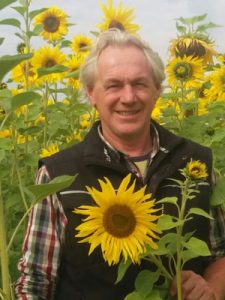 Sonnenblumen_zum_Selberschneiden